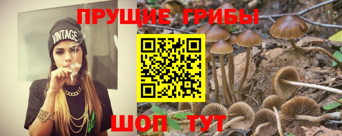 Псилоцибиновые грибы Cubensis  Псилоцибиновые грибы Psilocybe  Вход с VPN  купить   Севастополь 