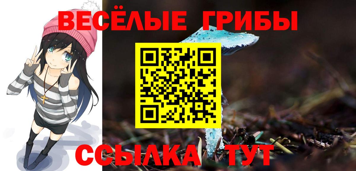 Галлюциногенные грибы GOLDEN TEACHER Севастополь